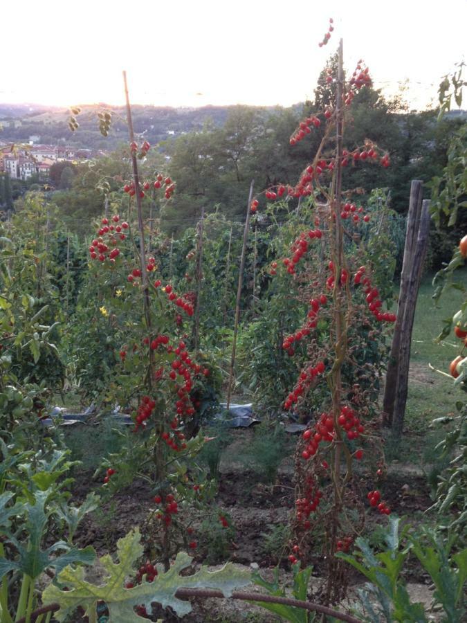 Willa Il Borgo Delle Grazie Ovada Zewnętrze zdjęcie